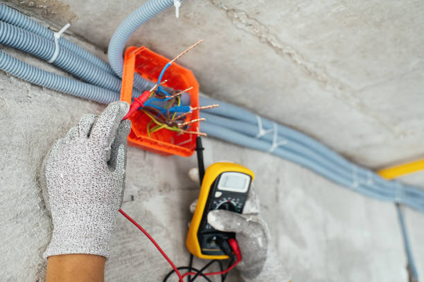 Best Electrical System Inspection  in Princeton, WI